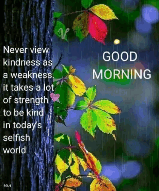 a good morning message with a picture of a tree and leaves