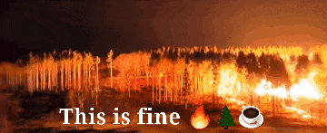 a picture of a forest fire with the words this is fine