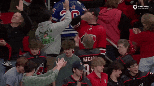 a man wearing a necas jersey stands in a crowd