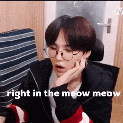 Right In The Meow Meow Lilgaykook GIF - Right In The Meow Meow Lilgaykook Yoongi GIFs