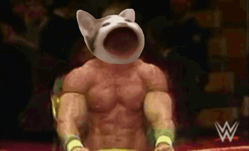 a wrestling figure with a cat 's head and a w logo in the background
