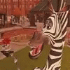Zebra Madagascar GIF - Zebra Madagascar GIFs