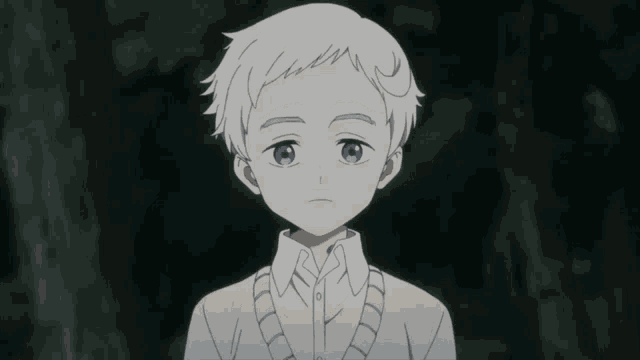 a young boy with blue eyes and a white shirt looks at the camera
