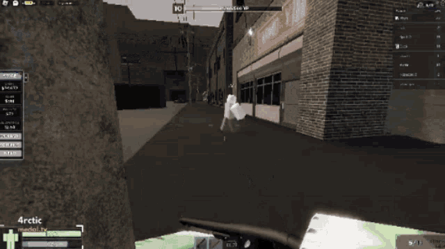 a screenshot of a video game with the name arctic on the bottom