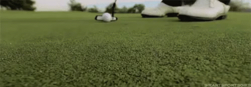 Putting On The Ritz - Golf GIF - Golf Putting Putter GIFs