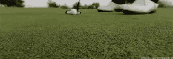 a golfer is putting a golf ball on a green with a putter .