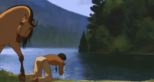 a man is diving into a lake with a horse in the background .