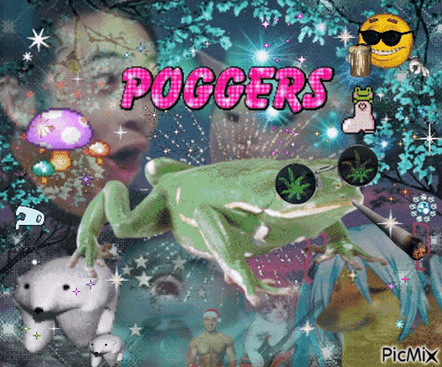 a picture of a frog with sunglasses and the words poggers on it