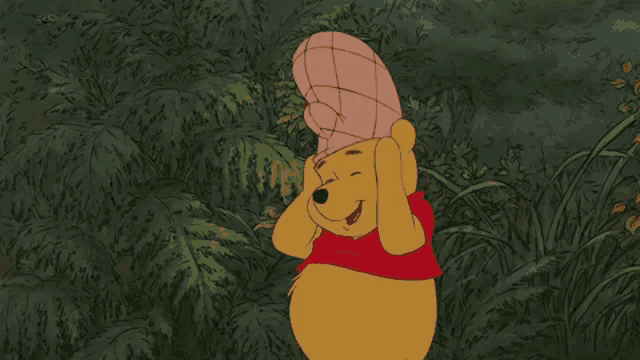 winnie the pooh is wearing a plaid hat