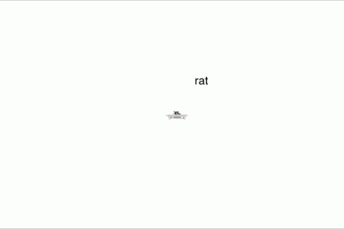 The Object Community Show Rat GIF - The Object Community Show Rat Table GIFs