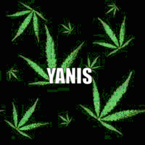 Yanis Weed GIF - Yanis Weed Yanis Weed GIFs