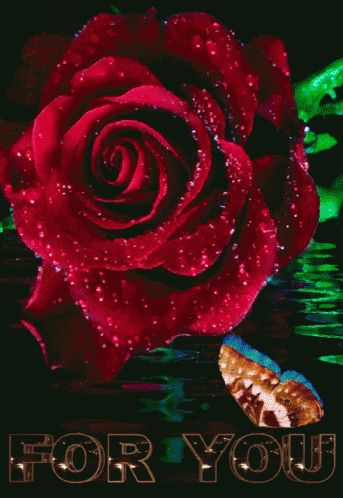 Rose For You GIF - Rose For You GIFs