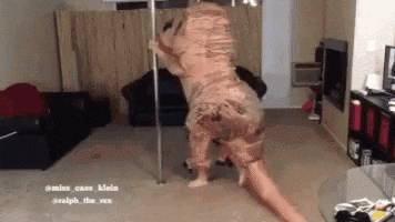 a person in a t-rex costume is standing on a pole in a living room