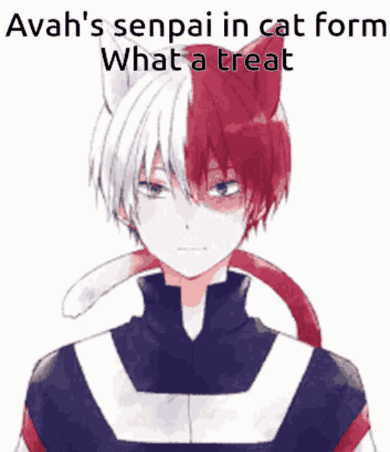 a picture of a boy with a cat ear and the caption " avah 's senpai in cat form what a treat "
