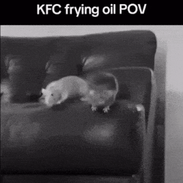 Rat Rat Jumping GIF - Rat Rat Jumping Kfc Frying Oil GIFs