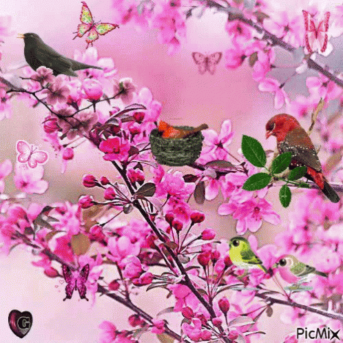Cherry Blossoms Nature GIF - Cherry Blossoms Nature Butterflies GIFs