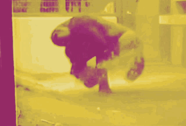 a blurred image of a purple and yellow background with a white line