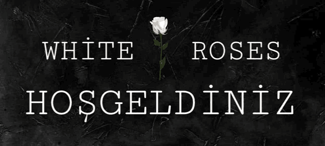 a sign that says white roses hoşgeldiniz with a single white rose