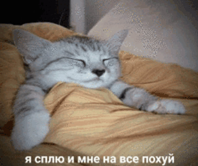 a cat is sleeping on a bed with a caption in a foreign language