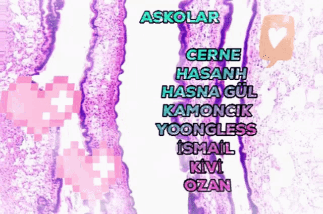 a pink and purple background with the name askolar on top of it