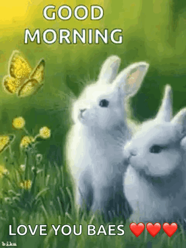 Good Morning Greetings GIF - Good Morning Greetings Bunny GIFs