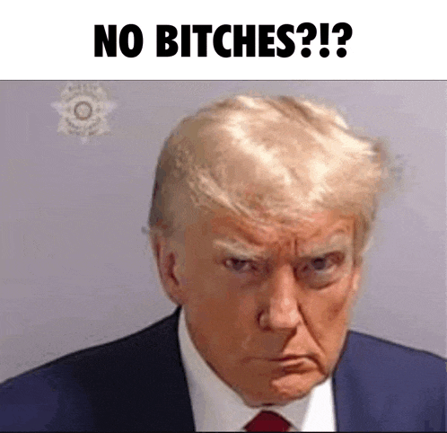 a picture of donald trump in a suit and tie with the words `` no bitches '' written above him .