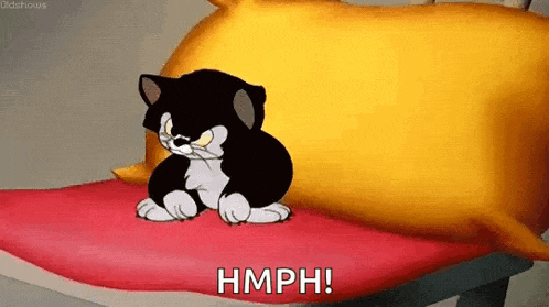 a black and white cat is sitting on a bed next to a yellow pillow and a red blanket .