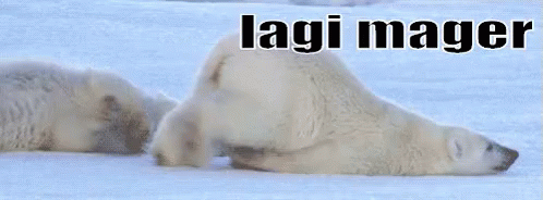 Lagi Mager GIF - Polar Bear Ice Tired GIFs