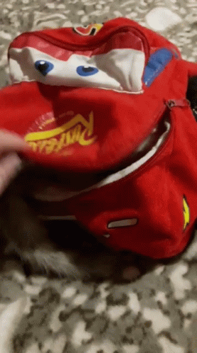 Cat Bag GIF - Cat Bag Pet GIFs