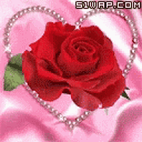 a red rose is surrounded by a heart shaped necklace of beads .