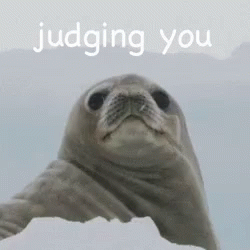 Are You Judging Me Dont Judge GIF