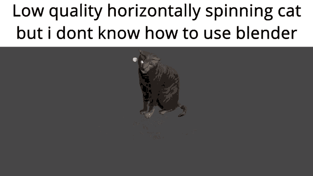 Spinning Cat Spin GIF - Spinning Cat Spin Low Quality GIFs