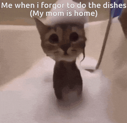 a cat in a bathtub with a caption that says me when i forgor to do the dishes