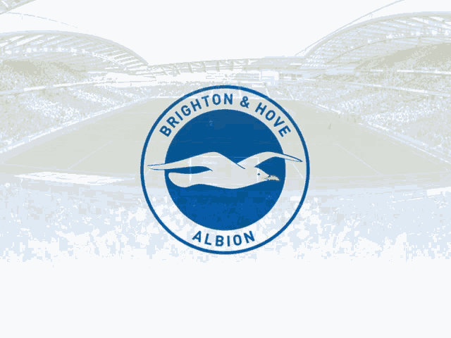 Brighton Brighton And Hove Albion GIF - Brighton Brighton And Hove Albion GIFs