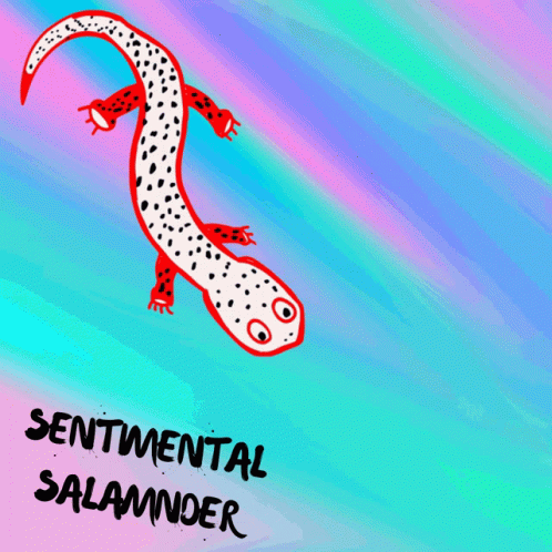 Sentimental Salamander Veefriends GIF