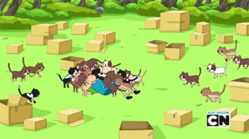 They'Re Approaching GIF - Adventure Time Finn Cats GIFs
