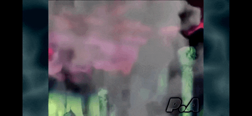 a screen shot of a video game with the word poa on it