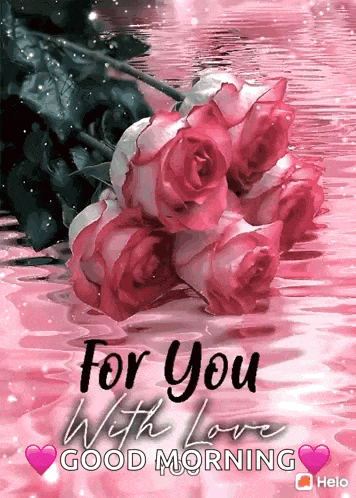 a bunch of pink roses are floating in the water with a good morning message .