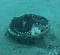 a picture of an underwater object with the website 4gifs.com written on the bottom