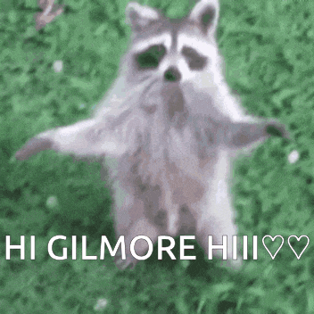 a raccoon is standing in the grass with its arms outstretched and says hi gilmore .