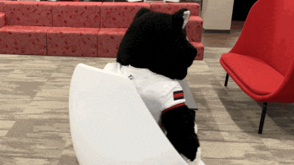 a black and white stuffed animal wearing a shirt that says ' tc ' on it sits in a chair