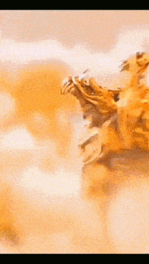 a close up of a tiger 's mouth with its mouth open