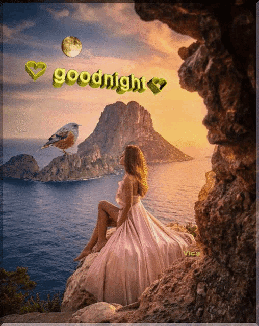 a picture of a woman sitting on a rock overlooking the ocean with the words goodnight on it