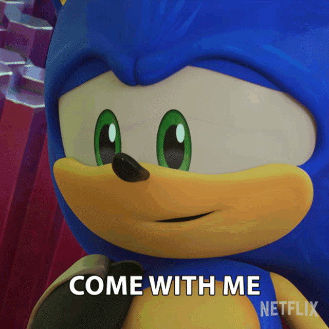 a picture of sonic the hedgehog with the words come with me netflix on the bottom