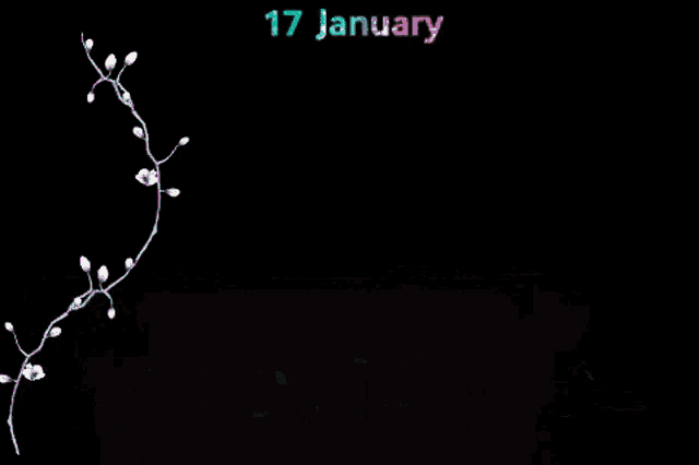 white flowers on a black background with the date 17 january