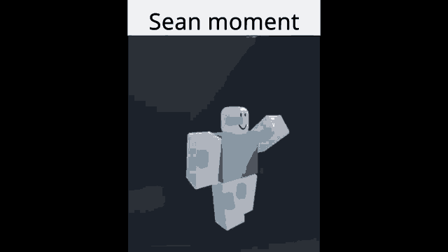 a picture of a roblox character that says sean moment on the bottom