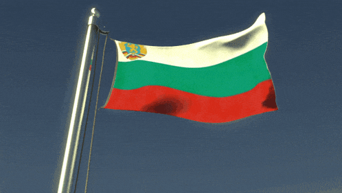 a green white and red flag with a crown on it