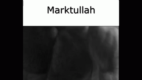 Marktullah GIF - Marktullah Mark GIFs