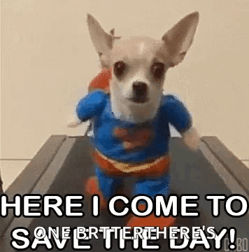 Save The Day GIF - Save The Day GIFs