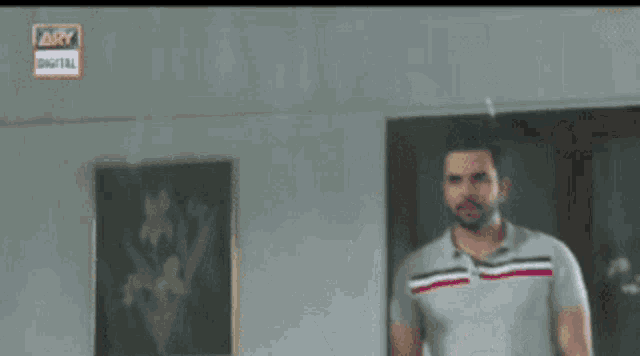 a man in a grey shirt is standing in a room with a picture on the wall that says ary digital .